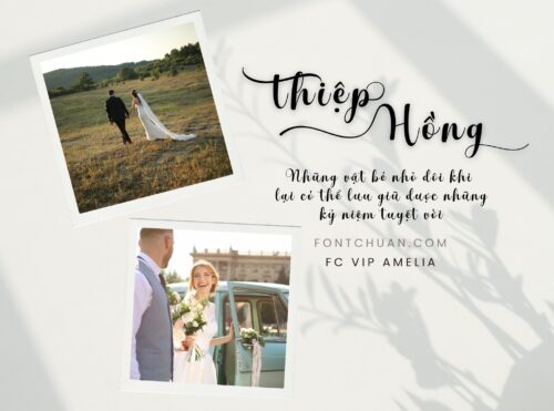 Font FC VIP Amelia Việt Hóa