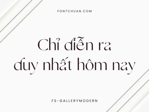 Font FS Gallery Modern Việt Hóa