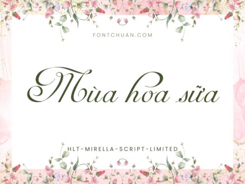 Font HLT Mirella Script Limited Việt Hóa