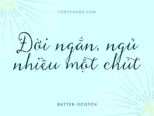 Font iCiel Butterscotch Việt Hóa