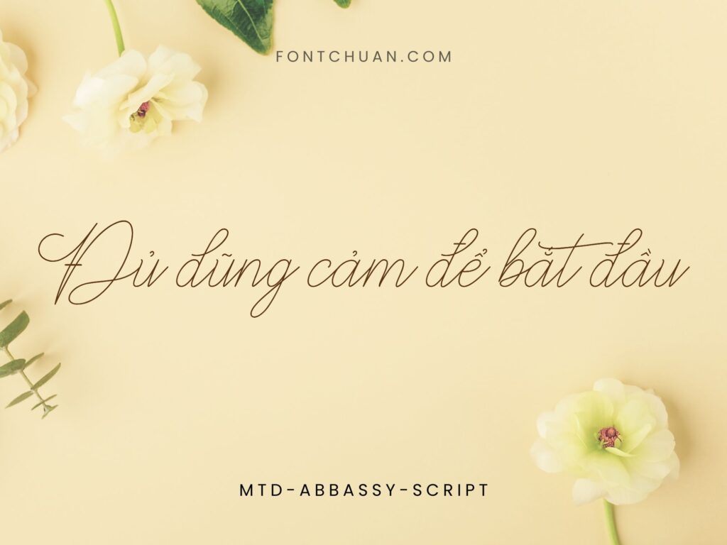 Font MTD Abbassy Script Việt Hóa