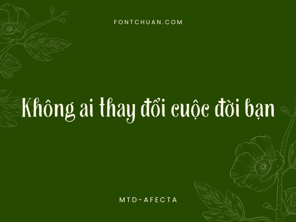 Font MTD Afecta Việt Hóa