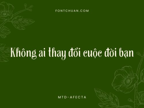 Font MTD Afecta Việt Hóa