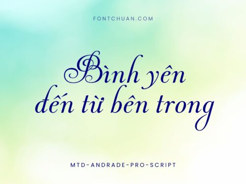 Font MTD Andrade Pro Script Việt Hóa