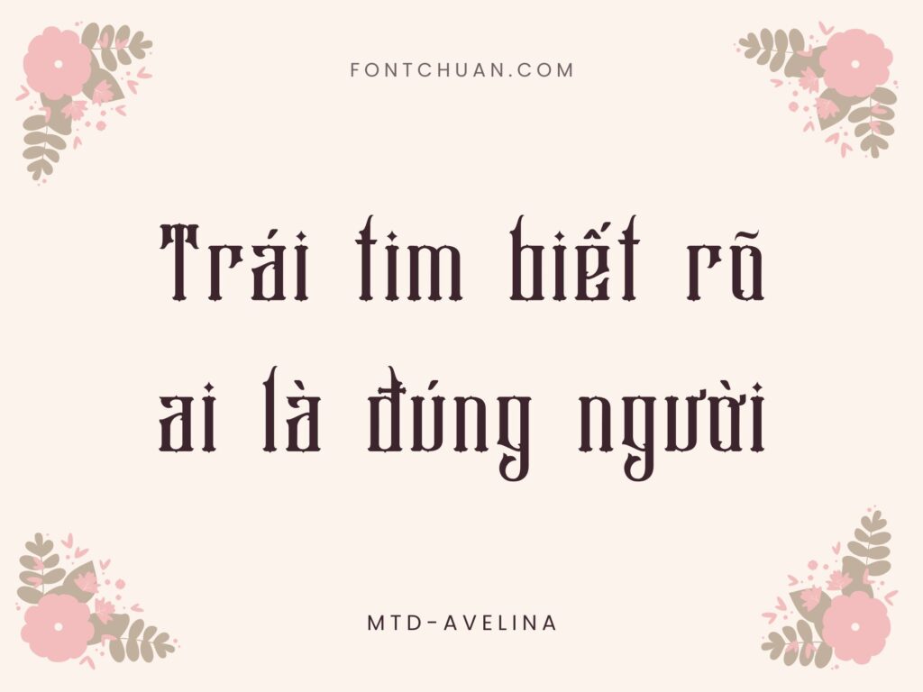 Font MTD Avelina Việt Hóa