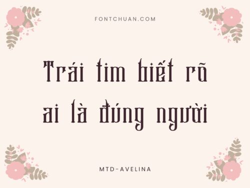 Font MTD Avelina Việt Hóa