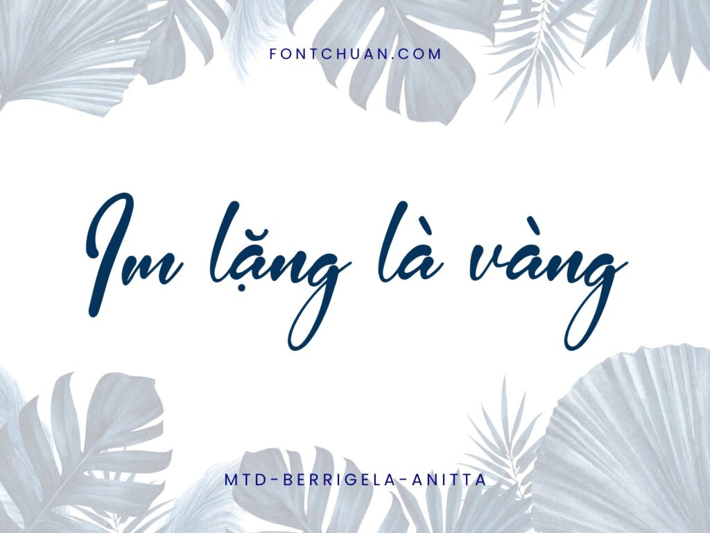 Font MTD Berrigela Anitta Việt Hóa
