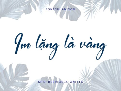 Font MTD Berrigela Anitta Việt Hóa