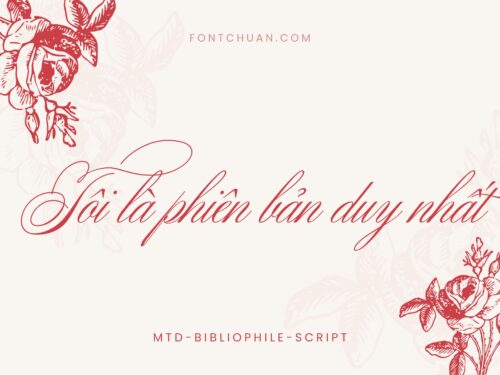 Font MTD Bibliophile Script Việt Hóa