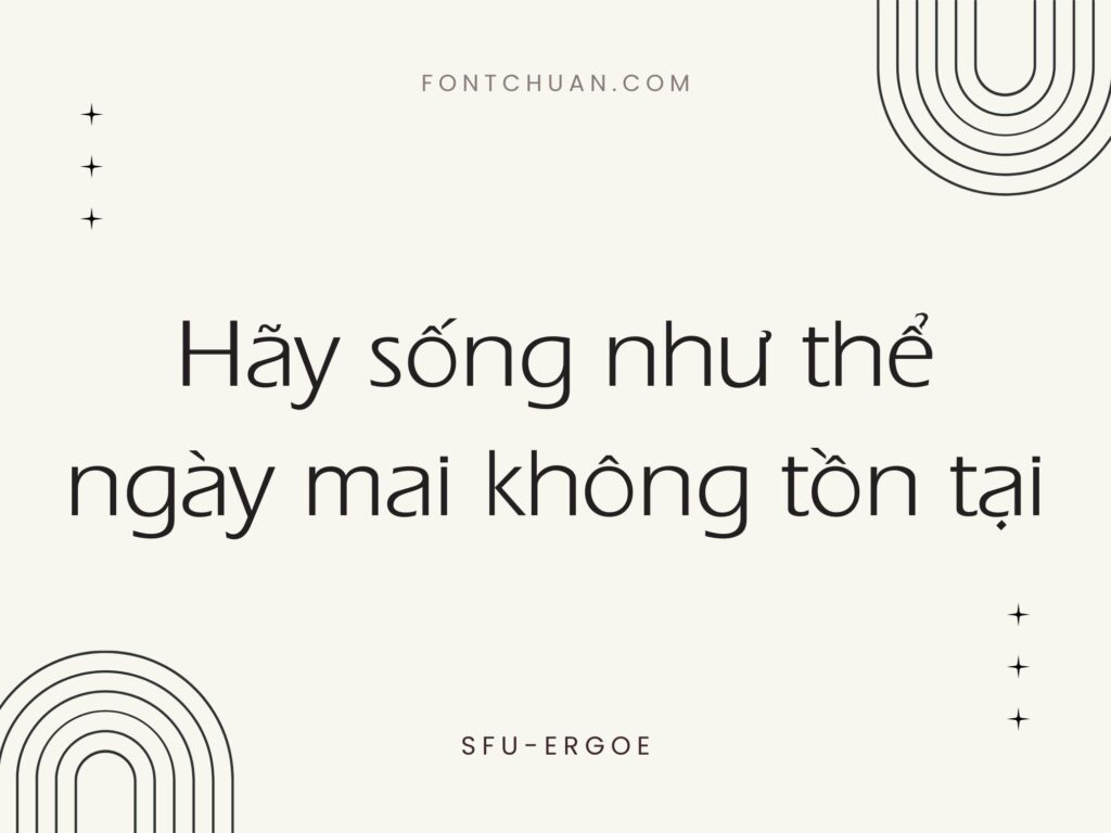 Font SFU Ergoe Việt Hóa