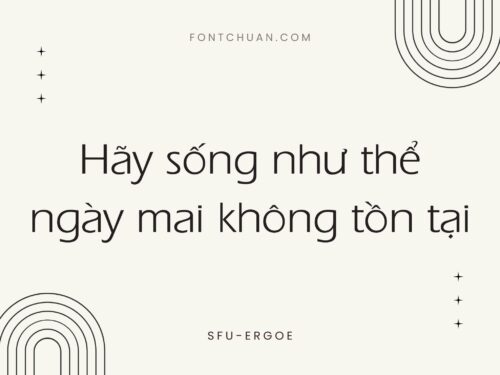 Font SFU Ergoe Việt Hóa