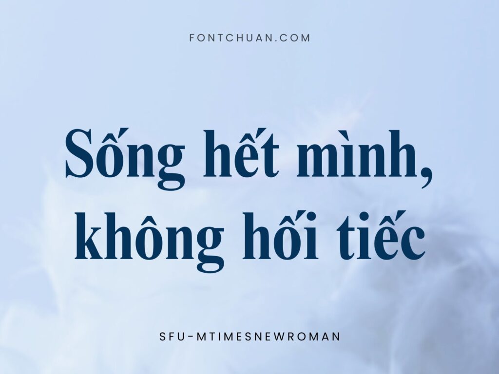 Font SFU Mtimesnewroman Việt Hóa