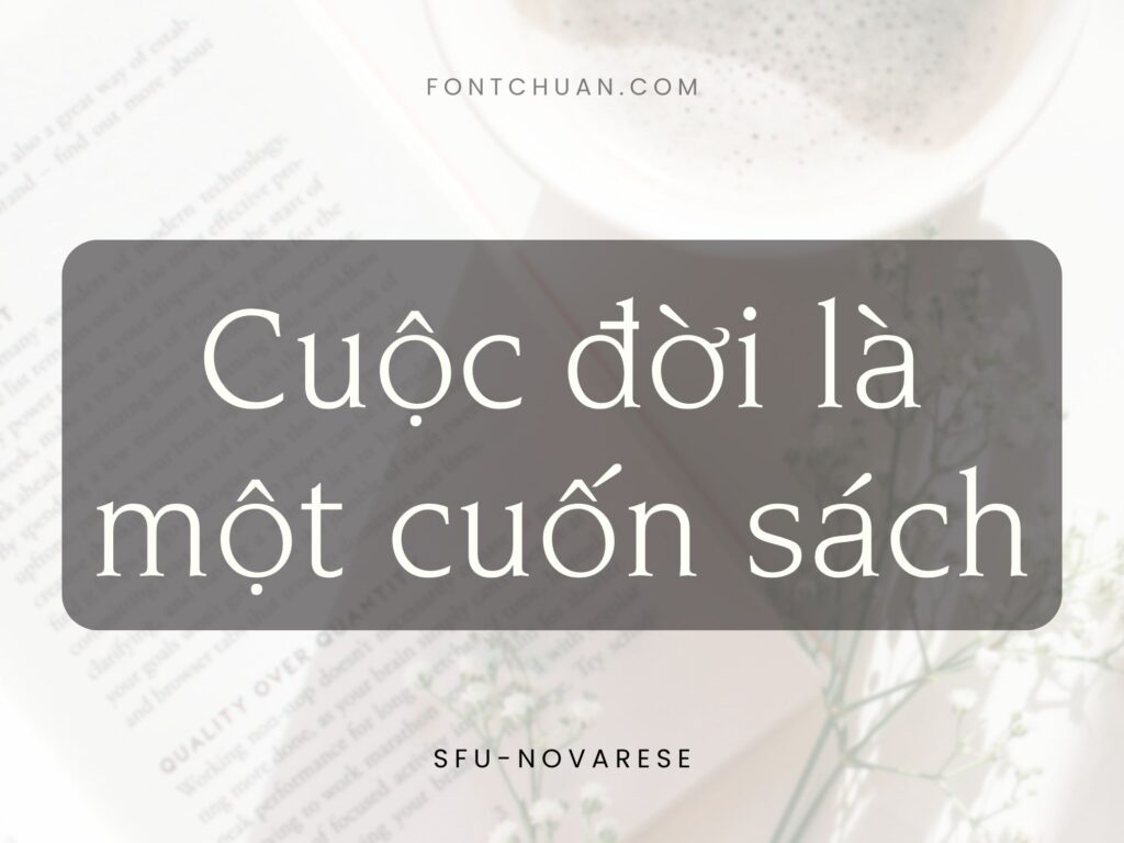 Font SFU Novarese Việt Hóa