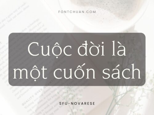 Font SFU Novarese Việt Hóa