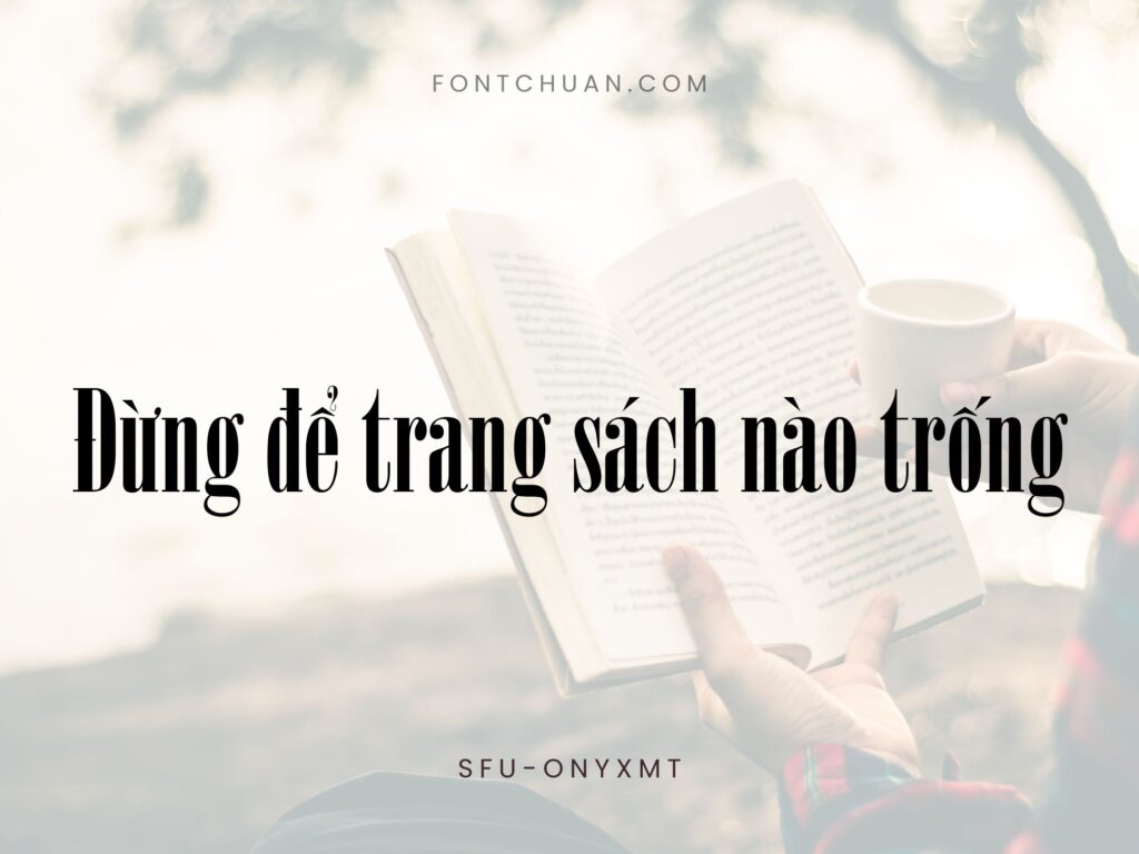 Font SFU Onyxmt Việt Hóa