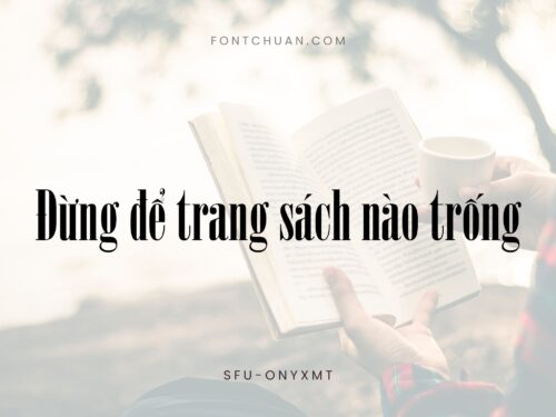 Font SFU Onyxmt Việt Hóa
