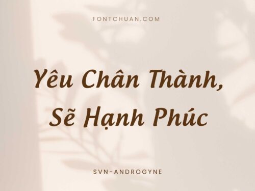 Font SVN Androgyne Việt Hóa