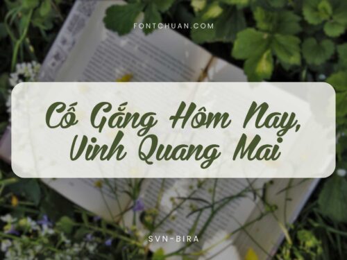 Font SVN Bira Việt Hóa