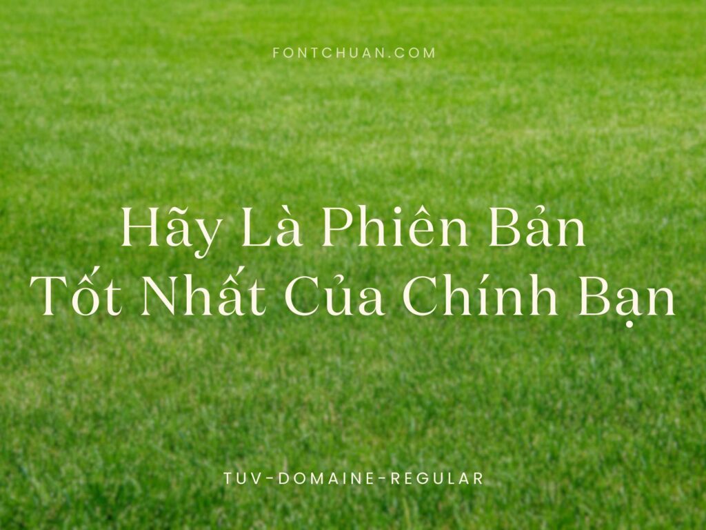 Font TUV Domaine Regular Việt Hóa