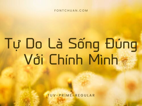 Font TUV Prime Regular Việt Hóa