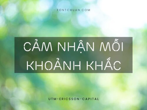 Font UTM Ericsson Capital Việt Hóa