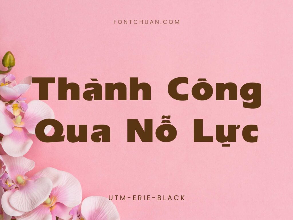 Font UTM Erie Black Việt Hóa
