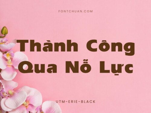 Font UTM Erie Black Việt Hóa