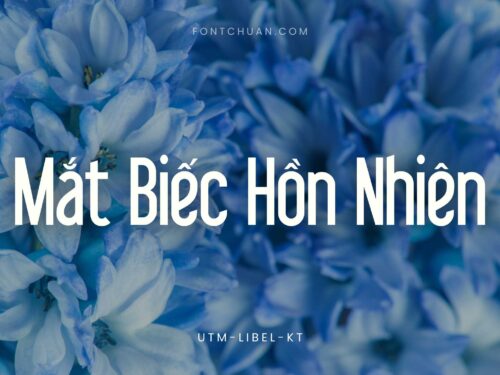 Font UTM Libel Kt Việt Hóa