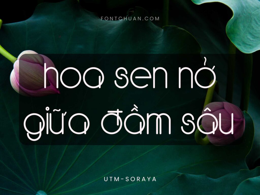 Font UTM Soraya Việt Hóa
