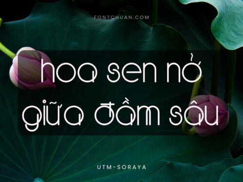 Font UTM Soraya Việt Hóa