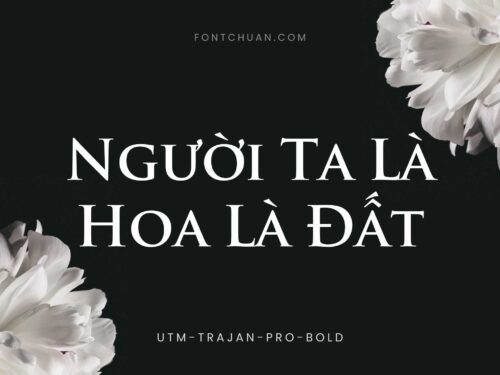 Font UTM Trajan Pro Bold Việt Hóa