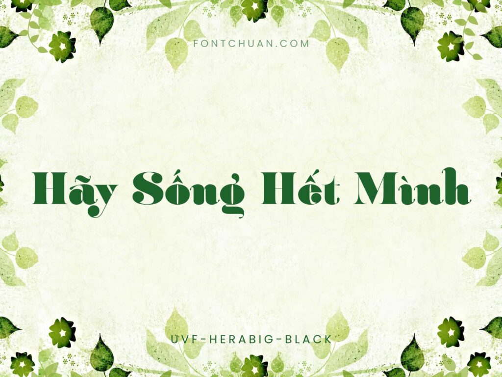 Font UVF Hera Big Black Việt Hóa