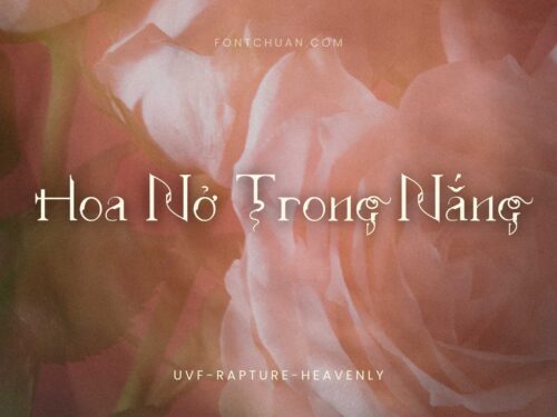 Font UVF Rapture Heavenly Việt Hóa