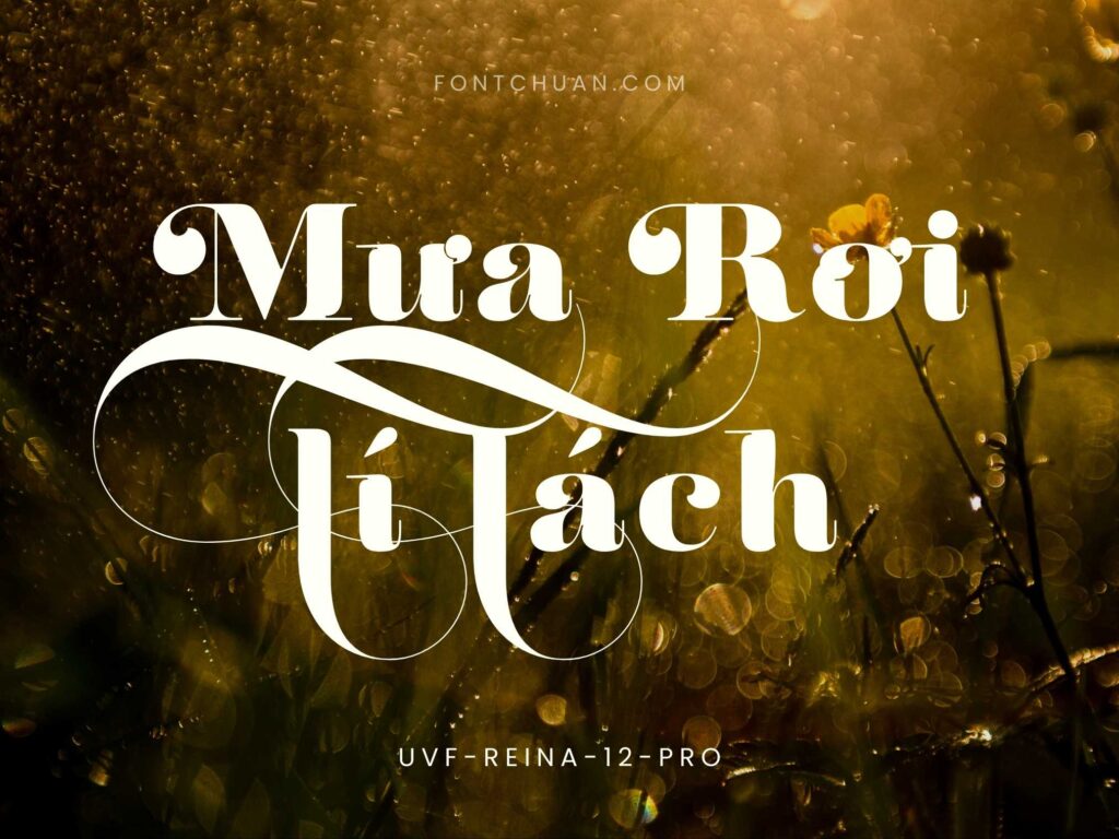 Font UVF Reina 12 Pro Việt Hóa