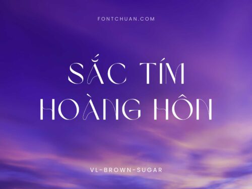 Font VL Brown Sugar Việt Hóa