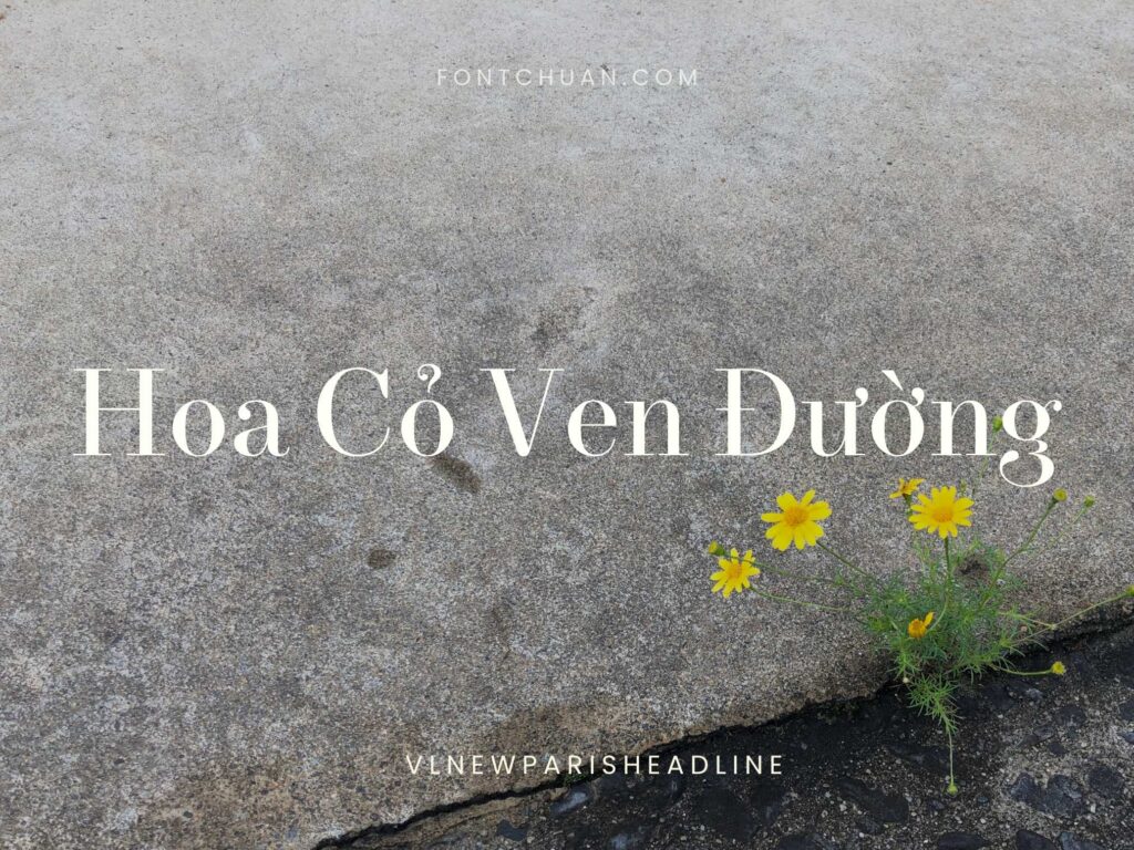 Font VL Newparis Headline Việt Hóa