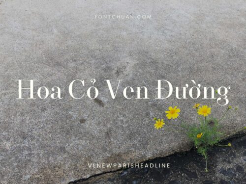 Font VL Newparis Headline Việt Hóa