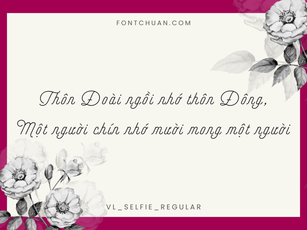 Font VL Selfie Việt Hóa