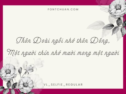 Font VL Selfie Việt Hóa