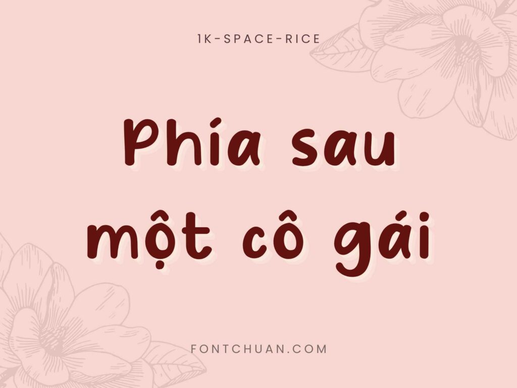 Font 1K-Spacerice Việt Hóa