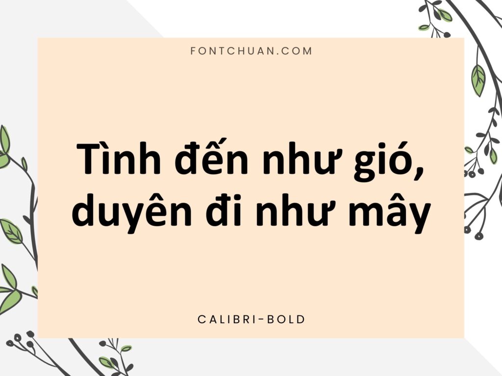 Font Calibri 6 Font Việt Hóa
