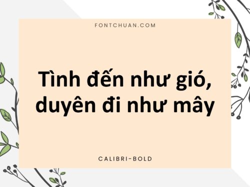 Font Calibri 6 Font Việt Hóa