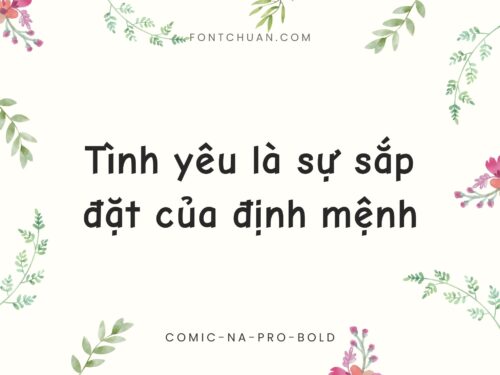 Font Comic Na Pro+ Việt Hóa