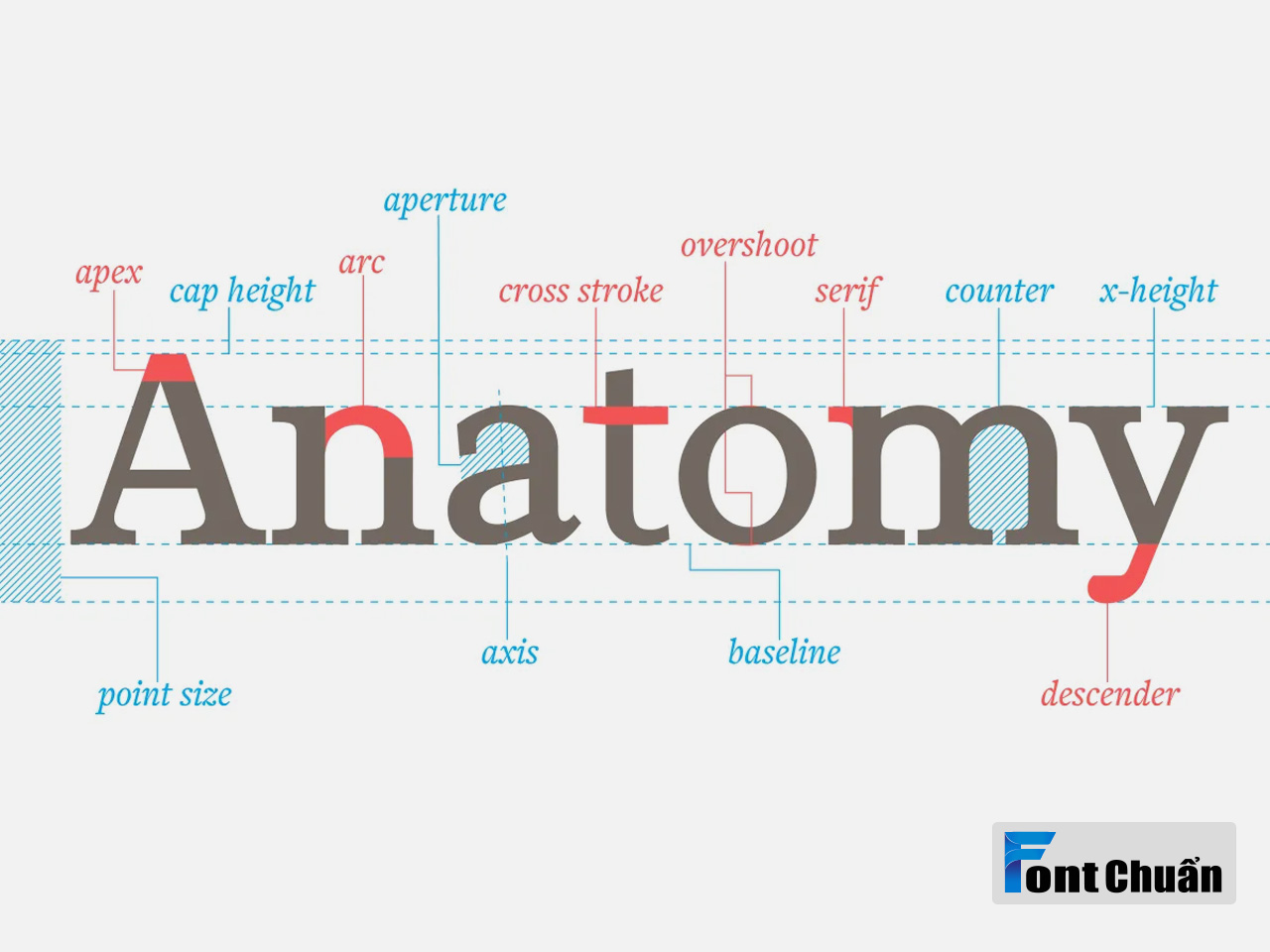 Font chữ là gì? Vai trò, phân loại và cách lựa chọn | Font Chuẩn