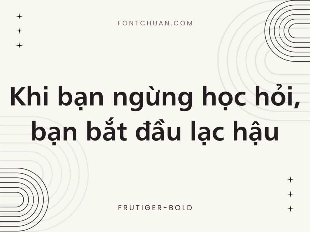 Font Frutiger Bold Việt Hóa