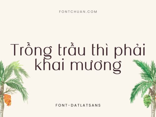 Font  Dalat Sans,  Dalat Sans Cap Font Tiếng Việt