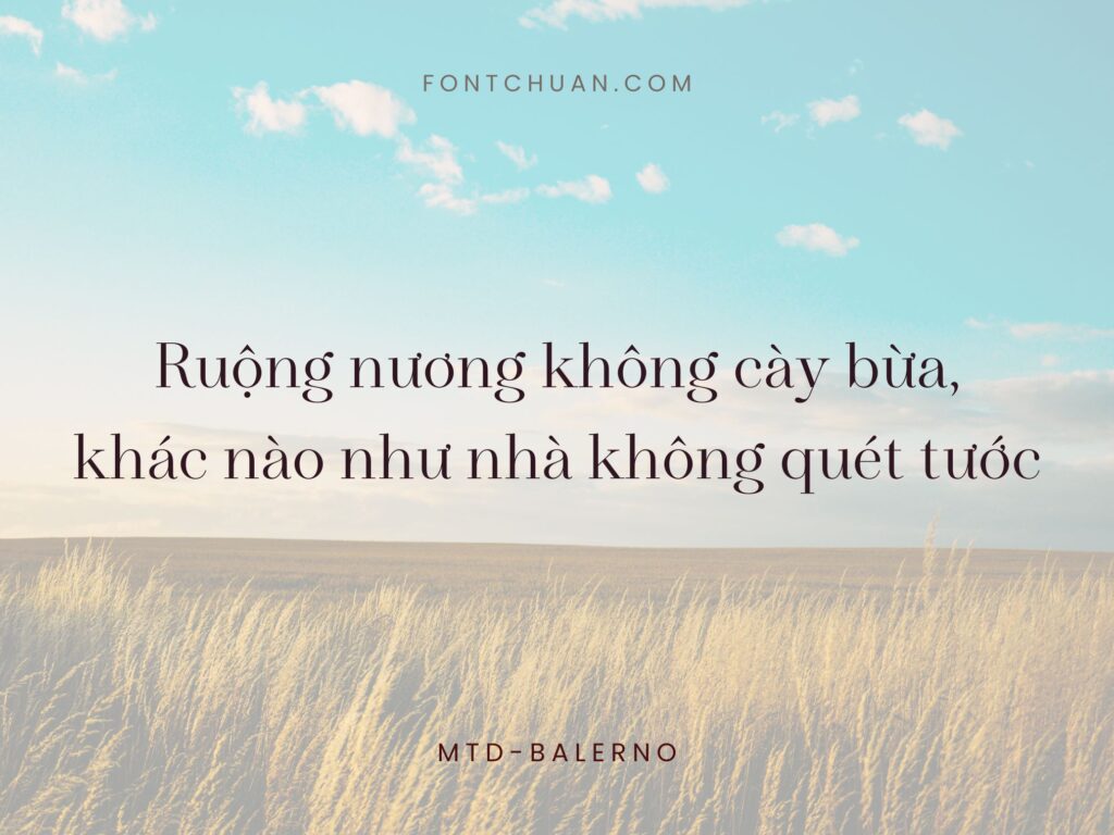 Font MTD Balerno Việt Hóa