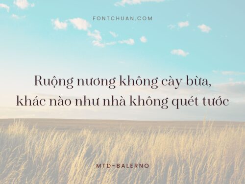 Font MTD Balerno Việt Hóa