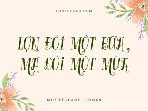 Font MTD Bechamel Roman Việt Hóa