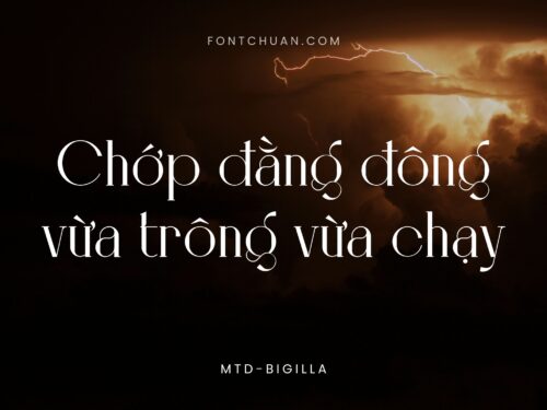 Font MTD Bigilla Việt Hóa